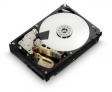 HGST ��������� � ��������� �����������