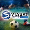 ���� �. ���� �������� �� Viasat Sport